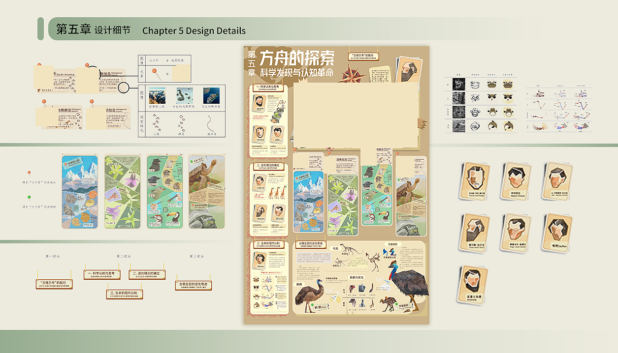 动物方舟-信息可视化设计（图ZMzk4MTc1MTcy） - 信息图表 - 站酷设计师星月昕玥Xena原创素材 - 站酷ZCOOL