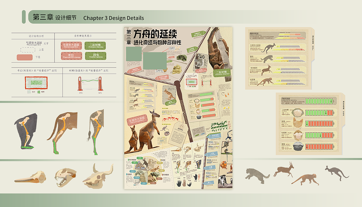 动物方舟-信息可视化设计（图ZMzk4MTc1MTY0） - 信息图表 - 站酷设计师星月昕玥Xena原创素材 - 站酷ZCOOL