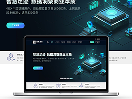 企業(yè)官網(wǎng)