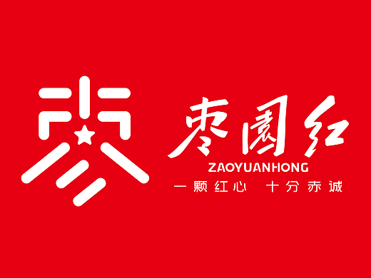 党建LOGO 党建vi设计 政府vi设计 红色革命文化vi设计