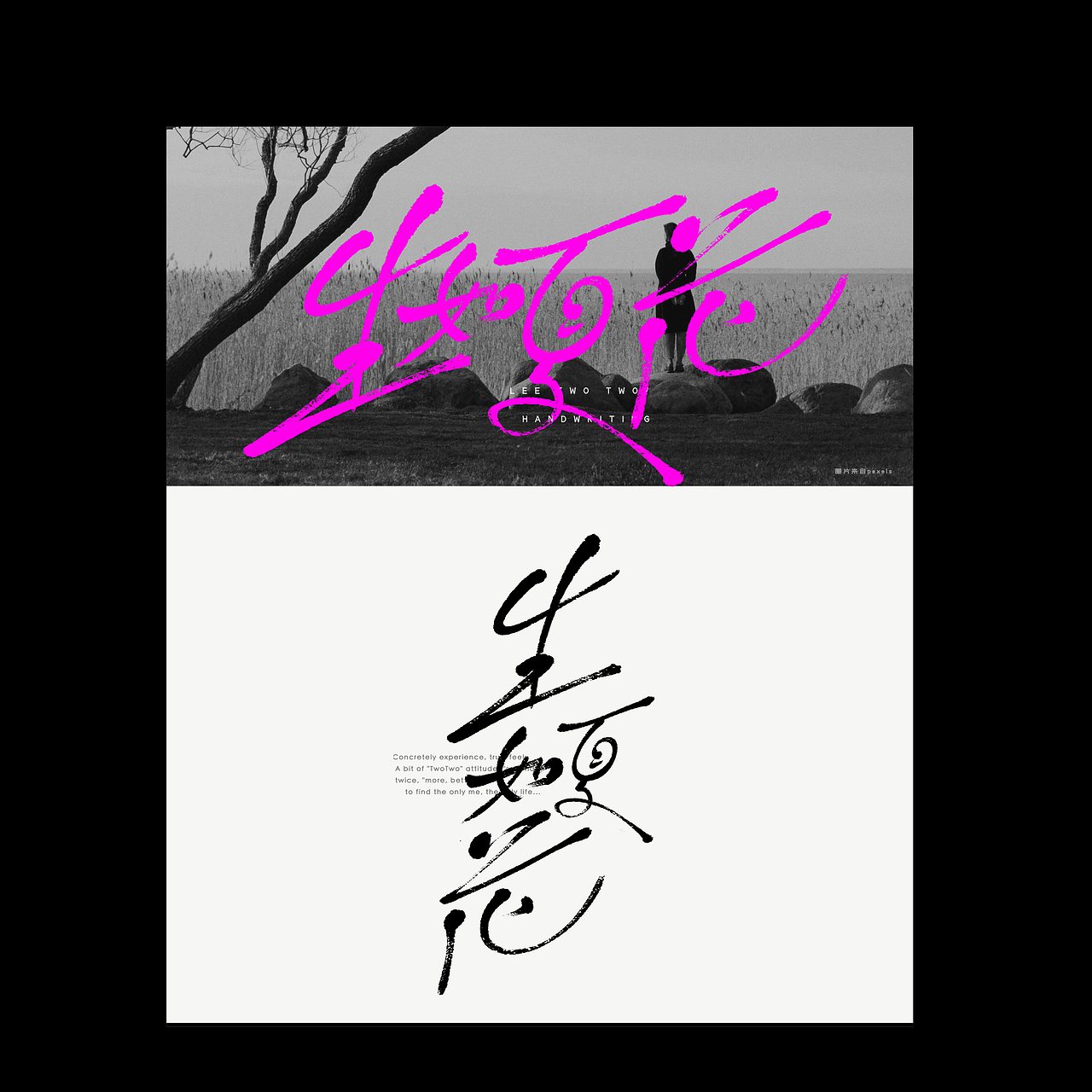 李贰贰·字体 | 手写字体（图ZMzk4MTgwMzQ4） - 字体/字形 - 站酷设计师李贰贰LeeTwoTwo原创素材 - 站酷ZCOOL