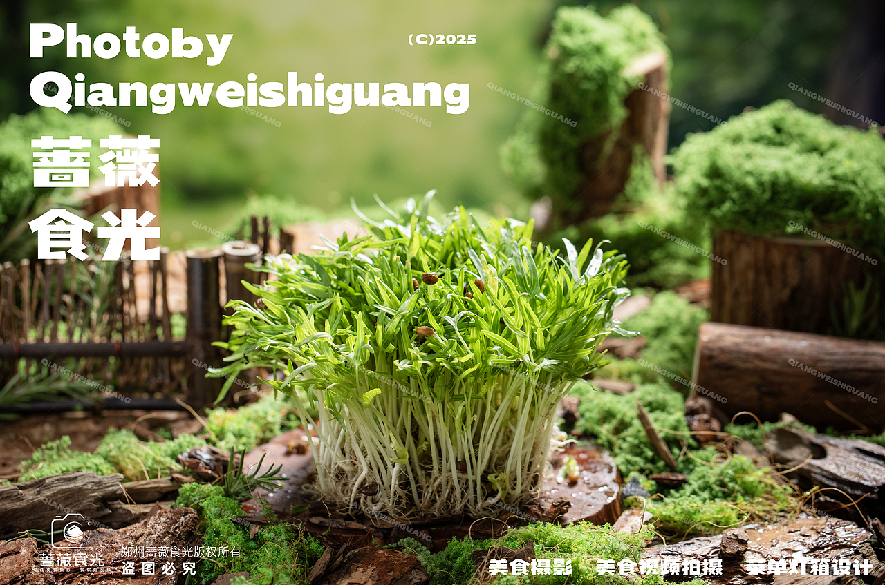 【绿野火坊】山林蔬菜拍摄