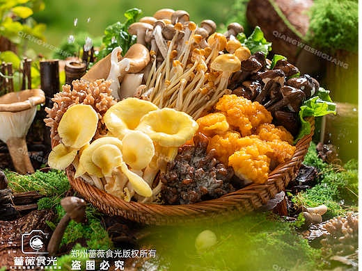 【绿野火坊】山林蔬菜拍摄