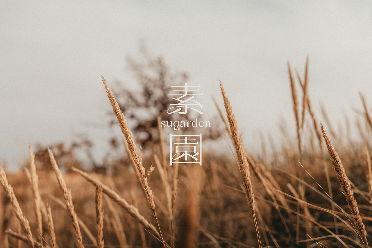 植物精油品牌——素園VIS