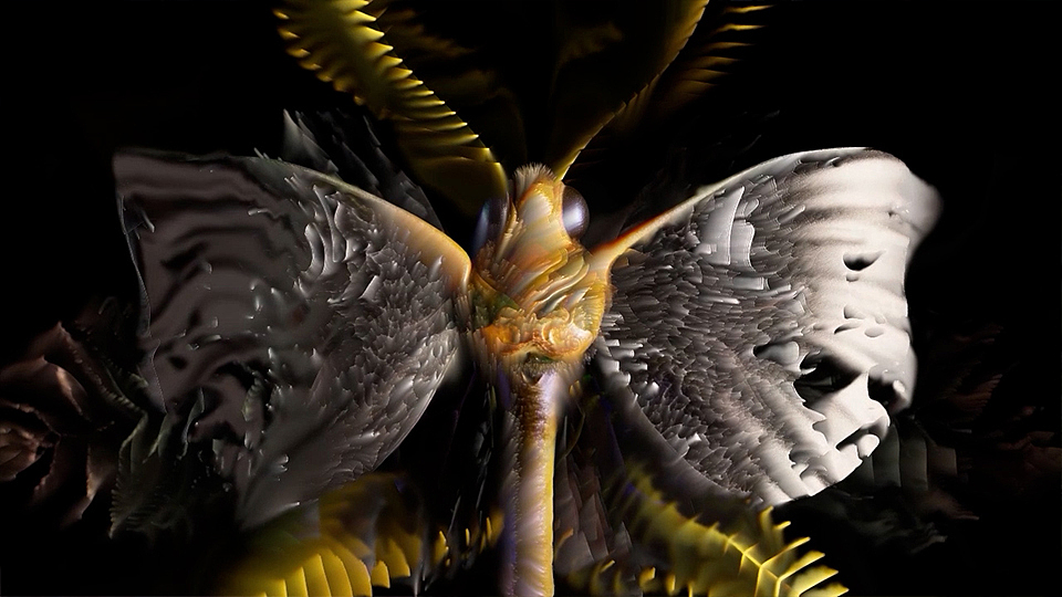 生成艺术影像 AIGC《Echoes of One》