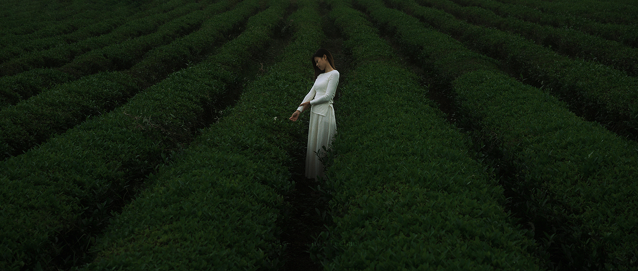 色散镜头（图ZMzk4MTkxNTI0） - 人像摄影 - 站酷设计师摄影师九秒原创素材 - 站酷ZCOOL