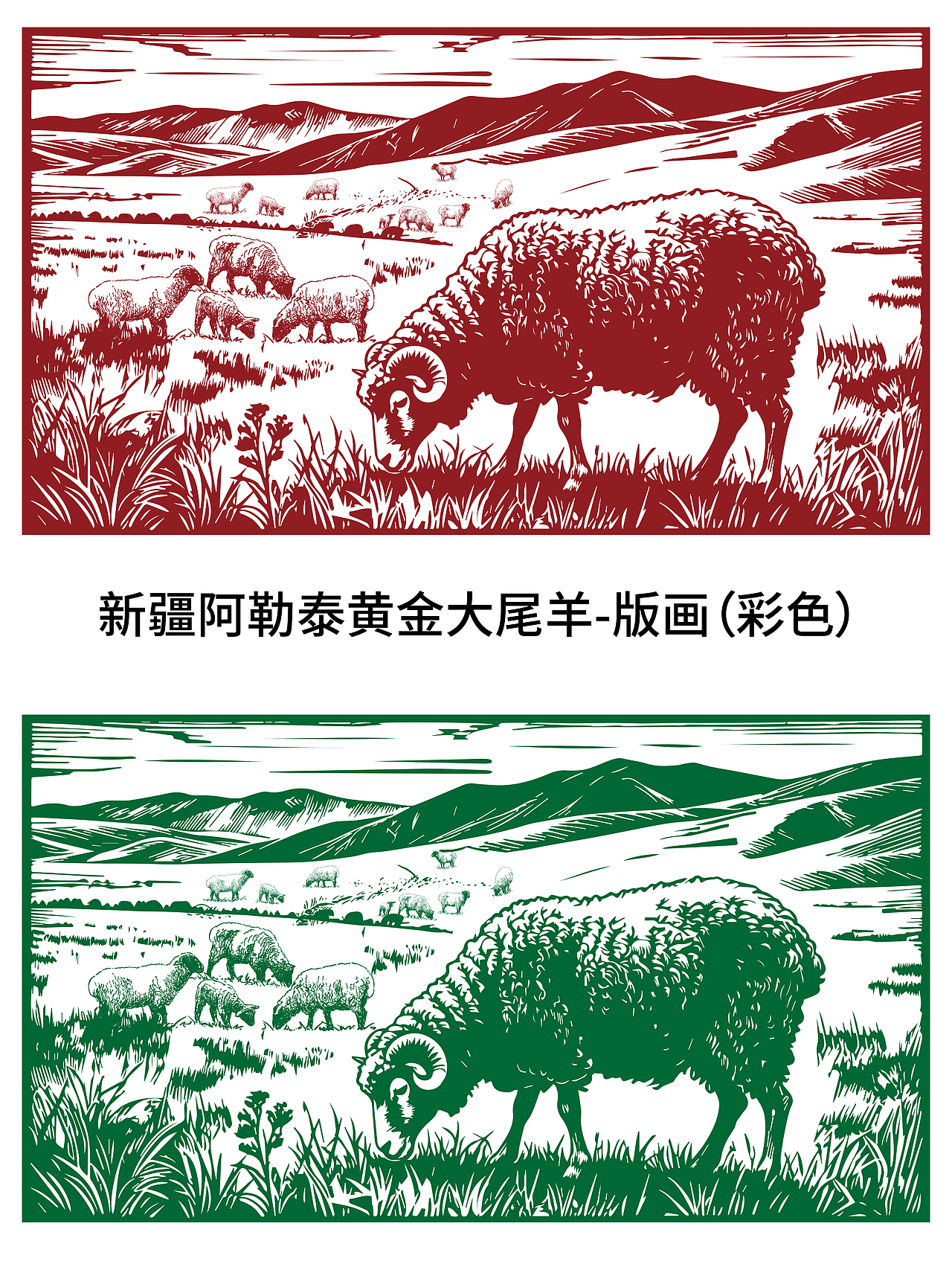 版画设计-新疆阿勒泰黄金大尾羊