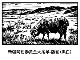 版畫設(shè)計-新疆阿勒泰黃金大尾羊