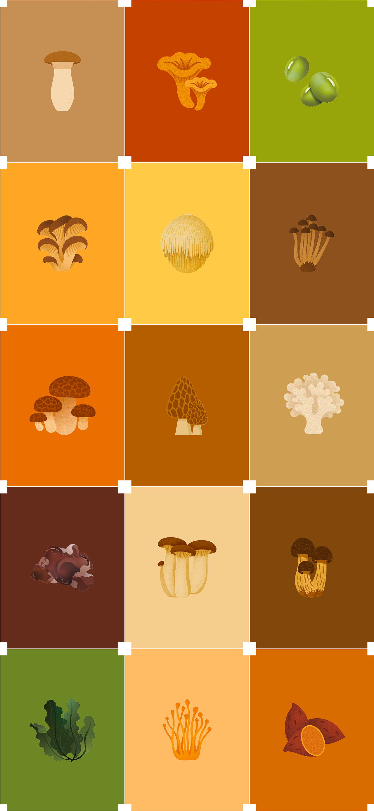 遇义设计丨三只松鼠集鲜山品牌设计丨山不在高有鲜则名