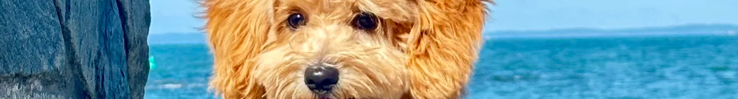 Z428429317的個(gè)人主頁(yè)（封面預(yù)覽） - 主頁(yè)封面設(shè)置 - 站酷設(shè)計(jì)師Z428429317原創(chuàng)素材 - 站酷ZCOOL