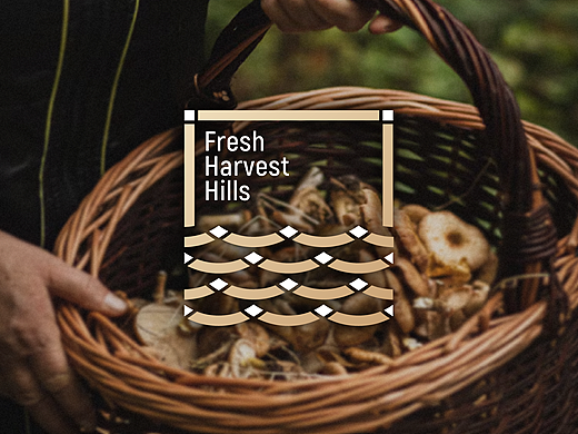 遇义设计丨三只松鼠集鲜山品牌设计丨山不在高有鲜则名