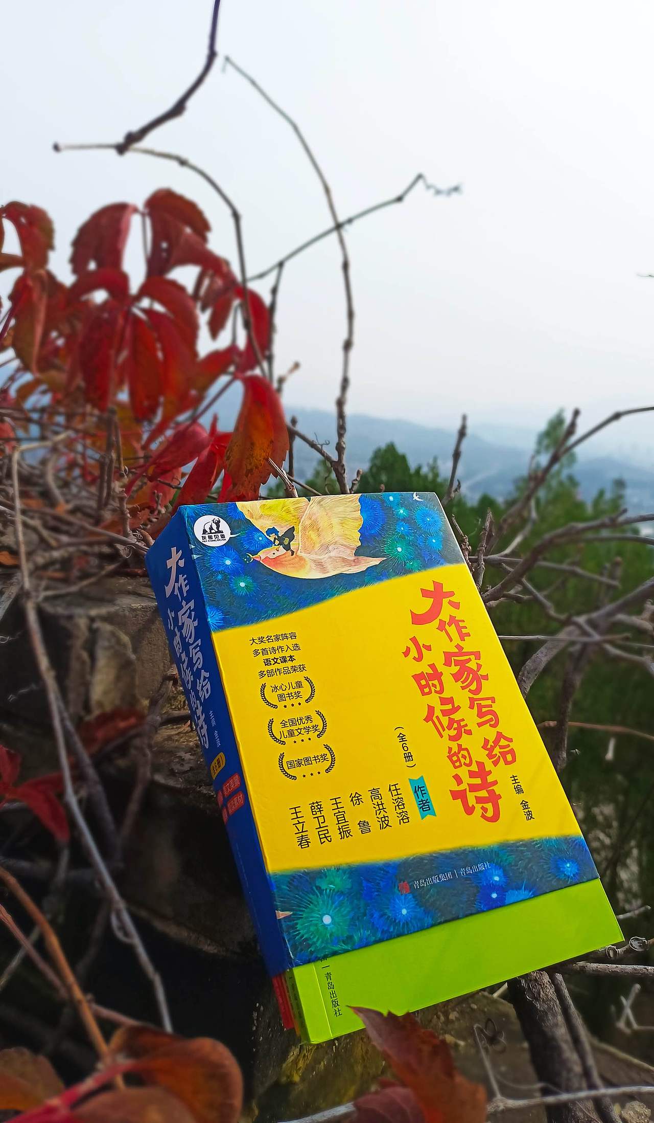 励志人物、大作家写给小时候的诗封面设计