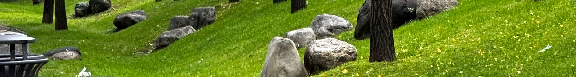 伊楊的个人主页（封面预览） - 主页封面设置 - 站酷设计师伊楊原创素材 - 站酷ZCOOL