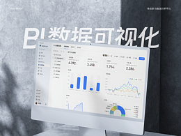体验家-BI数据分析平台