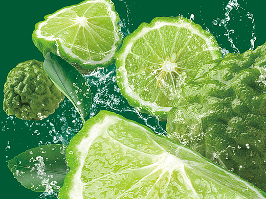 福建金果王（水果）品牌形象设计