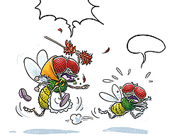 关于一些虫子的绘本