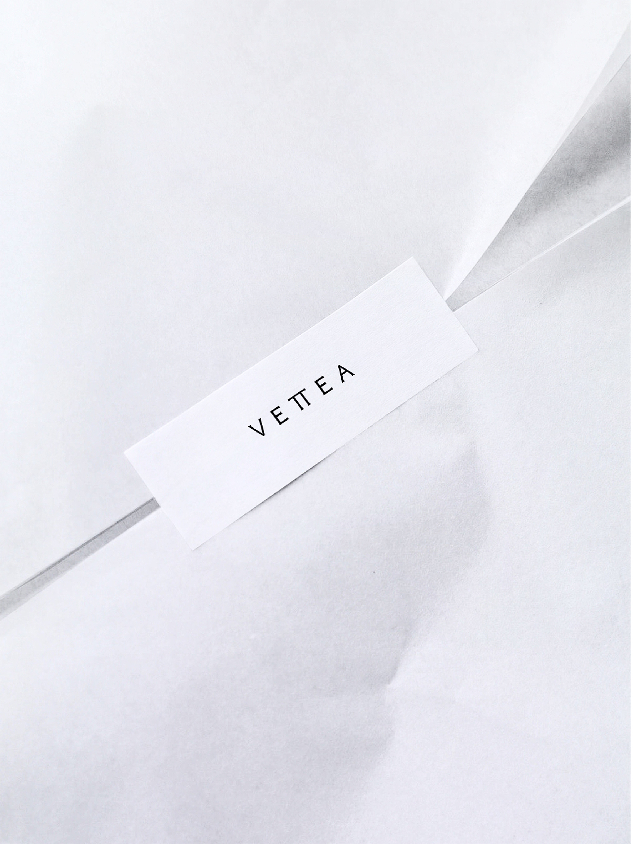 服装品牌设计｜Vettea（图ZMzk4Mjk1NjY0） - 品牌 - 站酷设计师designdstudio原创素材 - 站酷ZCOOL