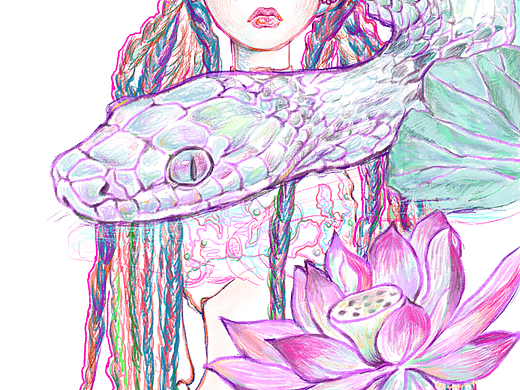 DVD新媒体　bjd