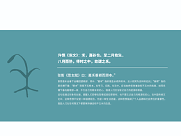 上海麦禾向真文化公司LOGO