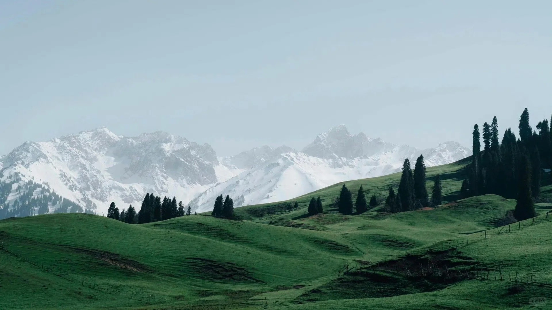 雪乃设计的个人主页（封面预览） - 主页封面设置 - 站酷设计师雪乃设计原创素材 - 站酷ZCOOL