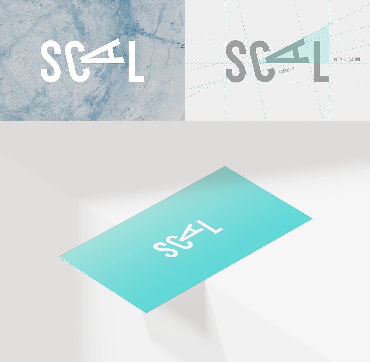 原创包装设计丨西西艾尔SCAL·喷雾B端供应链丨展开设计