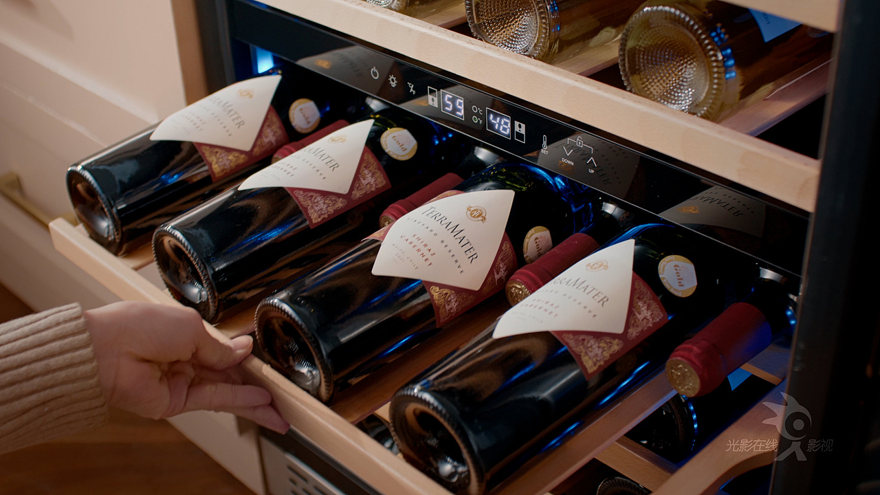 产品视频|Plotanis双区单门酒柜|红酒柜|洋酒柜