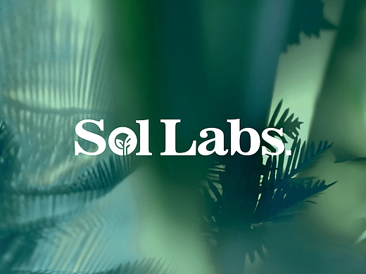 SOL LABS(干燥剂产品)品牌LOGO DESIGN