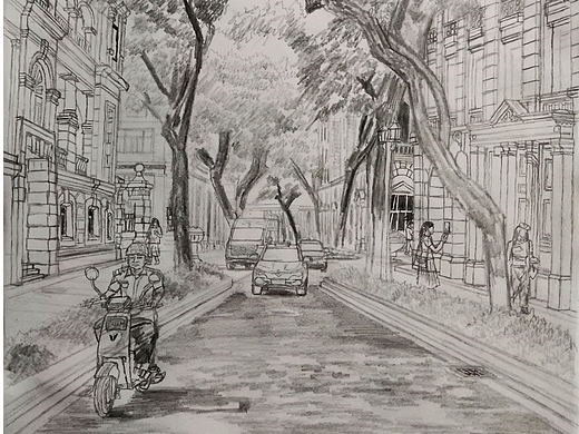 20251025|线描下午的沙面林荫道