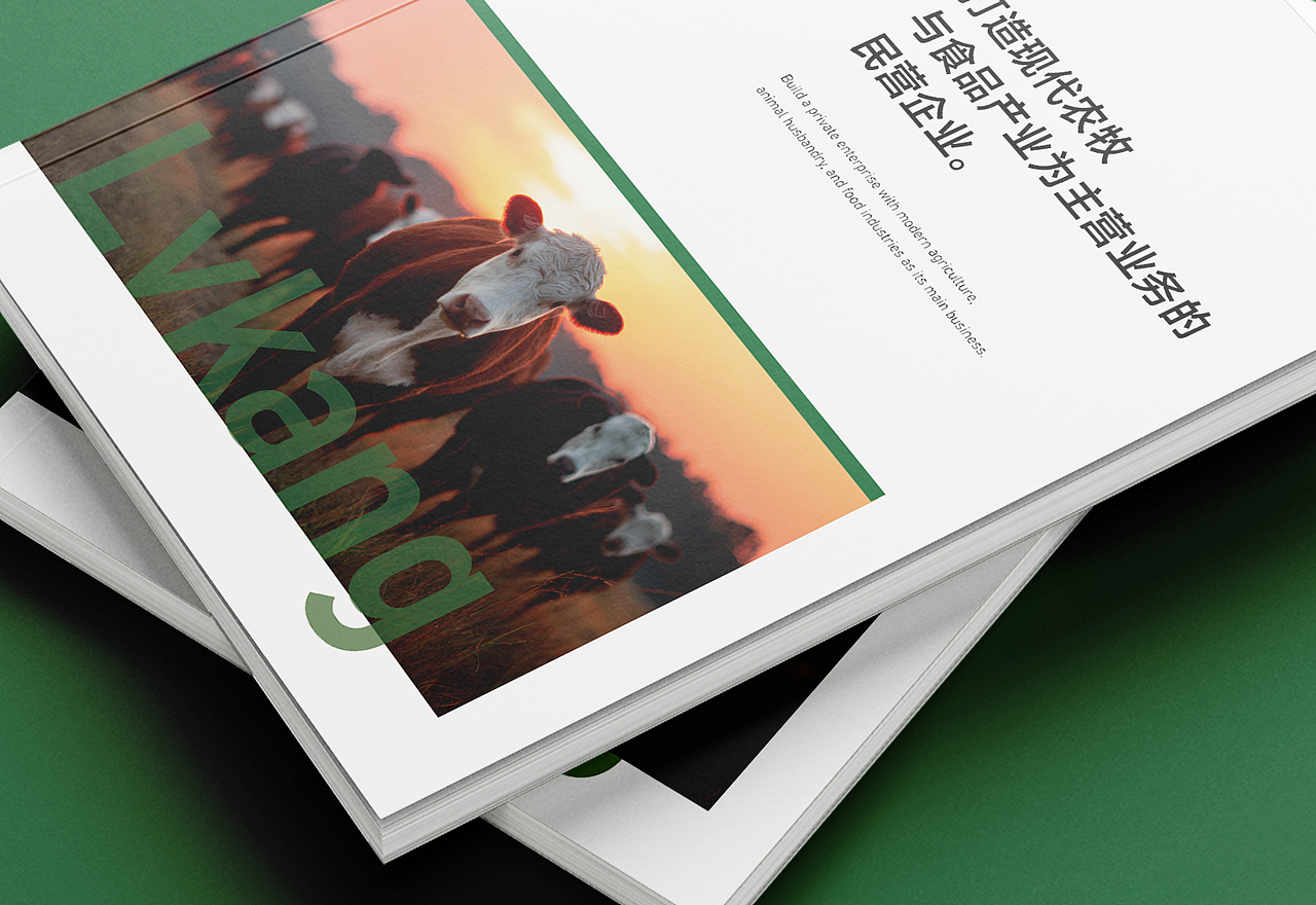 农牧产品画册设计｜企业宣传册设计 公司手册设计（图ZMzk4MzY2NTMy） - 书籍/画册 - 站酷设计师酥阳Suyor原创素材 - 站酷ZCOOL