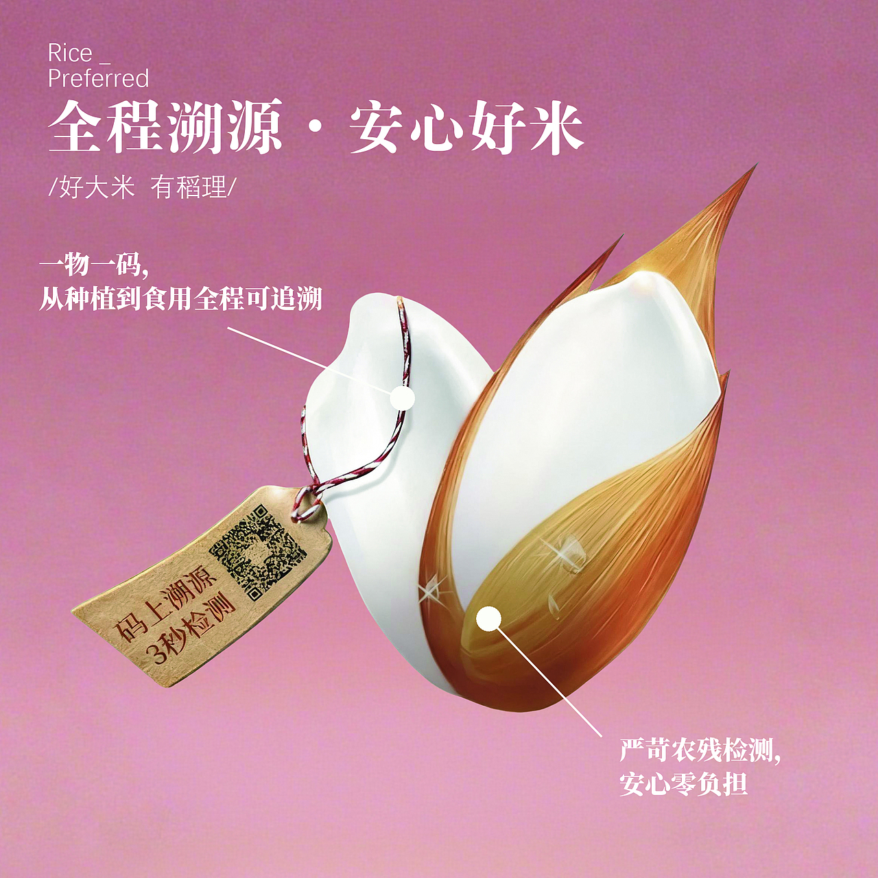 一碗好饭的诞生