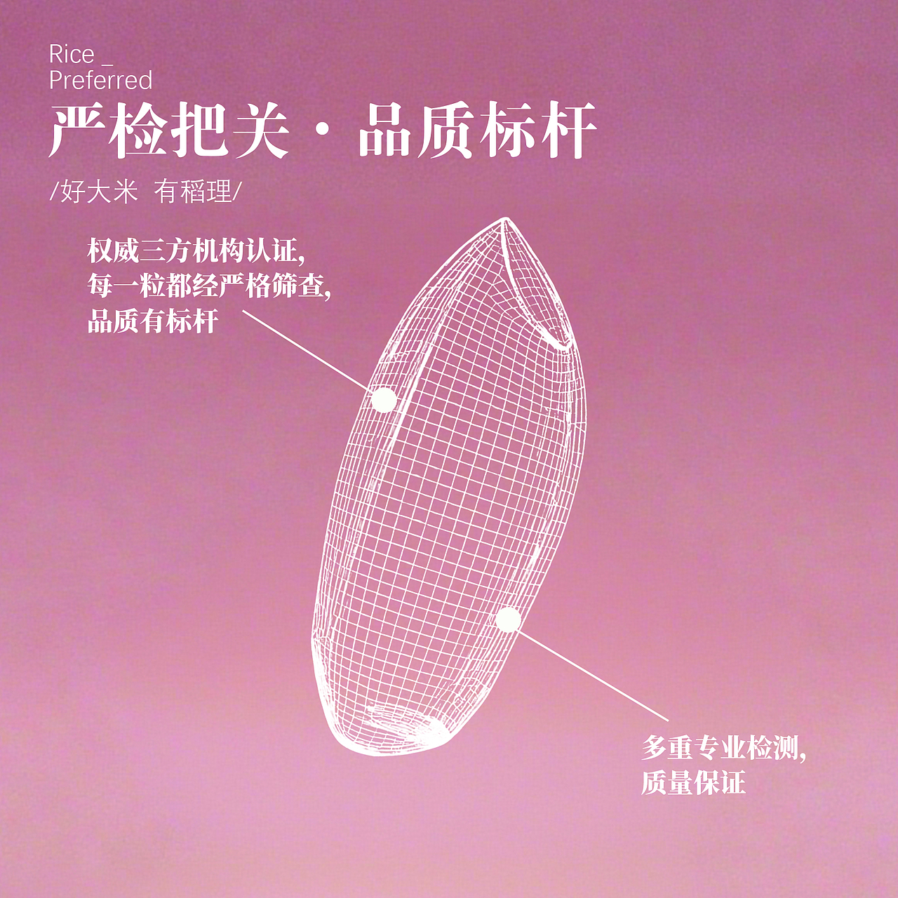 一碗好饭的诞生