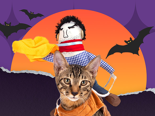 万圣节公众号推文