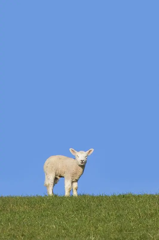 王木木1236的个人主页（背景预览） - 主页背景设置 - 站酷设计师王木木1236原创素材 - 站酷ZCOOL