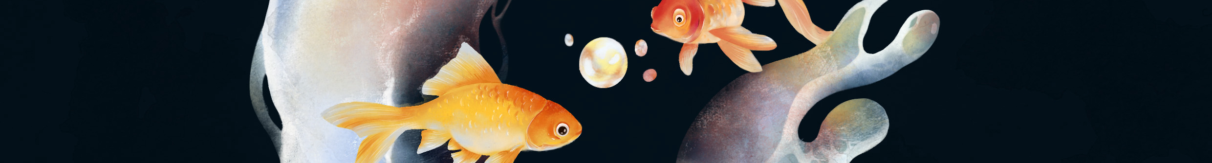 DOU_堕的个人主页（封面预览） - 主页封面设置 - 站酷设计师DOU_堕原创素材 - 站酷ZCOOL