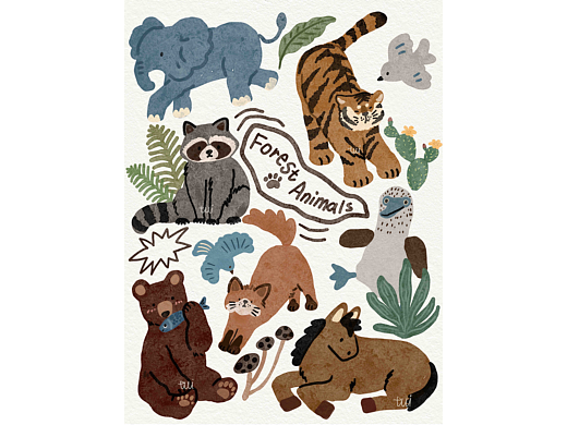 34-森林里有很多好朋友-20251101