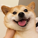 田林冲的头像