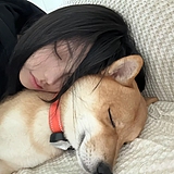 Lykkeya的头像