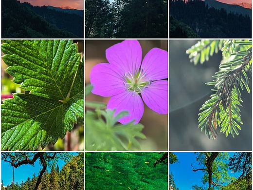 手机摄影笔记｜神仙池：川西秘境里的自然史诗