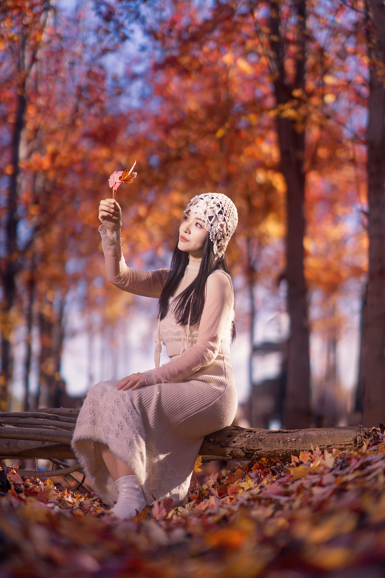 秋日红枫林的光影与色彩