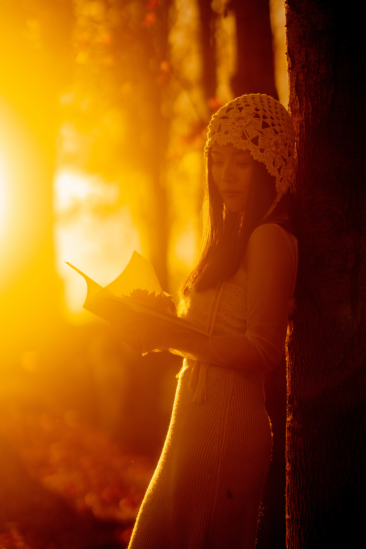 秋日红枫林的光影与色彩