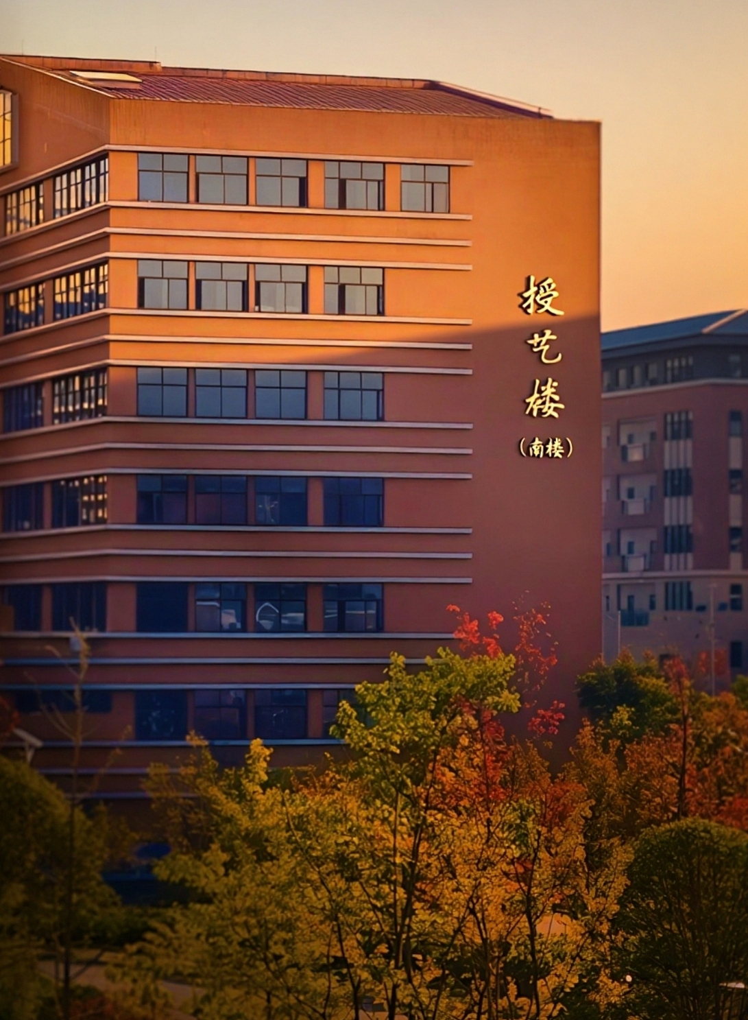 落日余晖洒满校园,每一栋楼都染上了温柔的色彩。📚