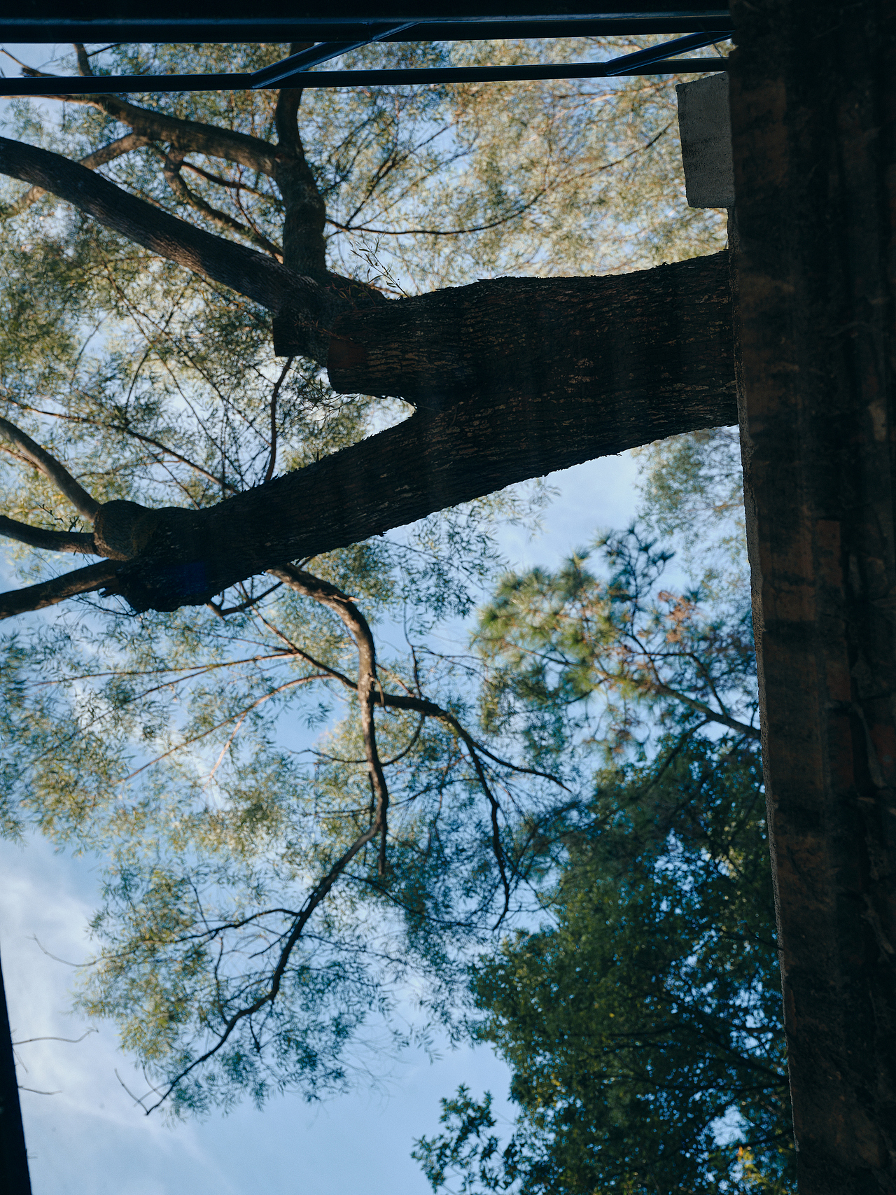 商业摄影｜秋冬老钱风质感形象大片