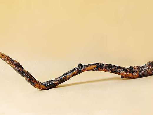 精雕海柳烟嘴鉴赏