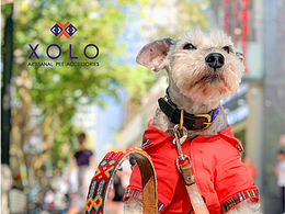 XOLO墨西哥手工藝品