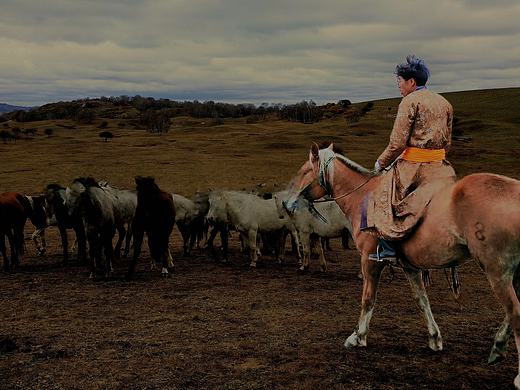 草原牧歌·骑手与马群