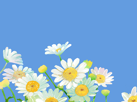 微风漫染雏菊香