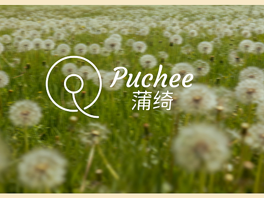 puchee蒲绮品牌VIS