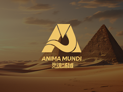 灵魂场域——潮服VIS提案