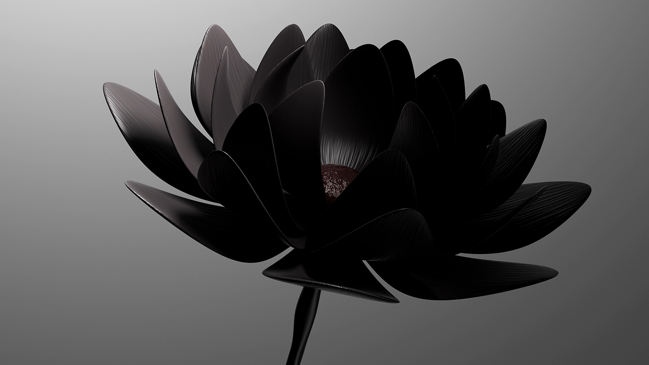 C4D动态学员chen—耳机动态（图ZMzk4NDk2Nzcy） - 产品 - 站酷设计师C4D杨帆原创素材 - 站酷ZCOOL