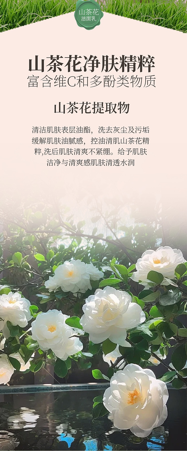 分享客户定稿的洗面奶详情页